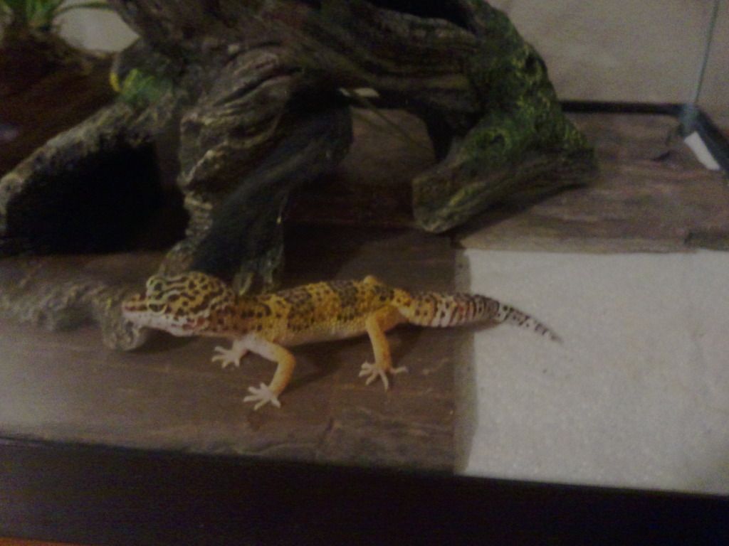 2012-08-11213446.jpg