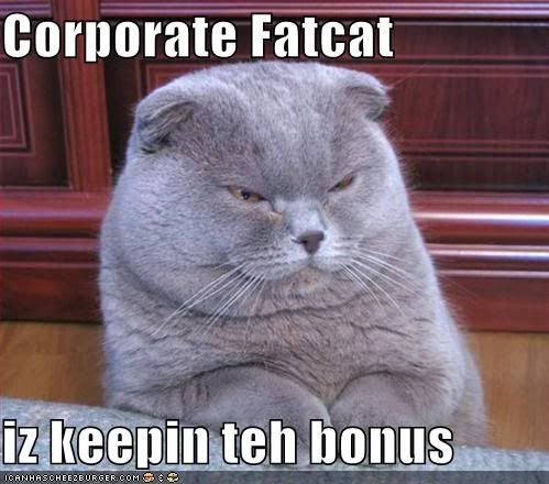 funny fat cat pictures. funny-pictures-corporate-fat-