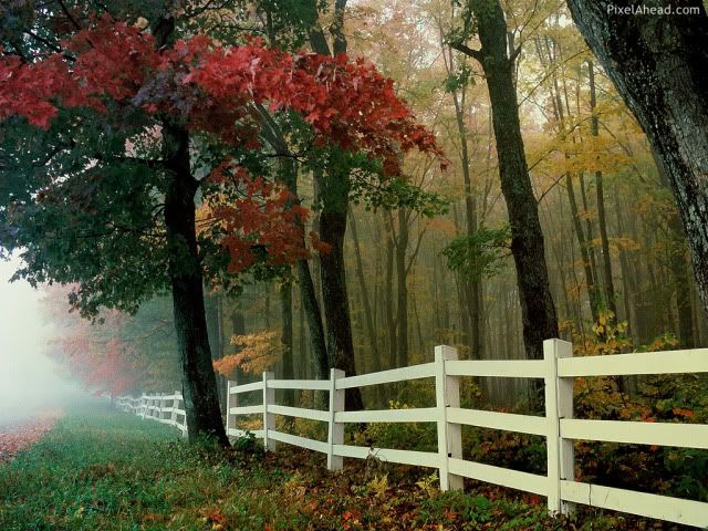 Nature Wallpaper Autumn. White Fence Wallpaper