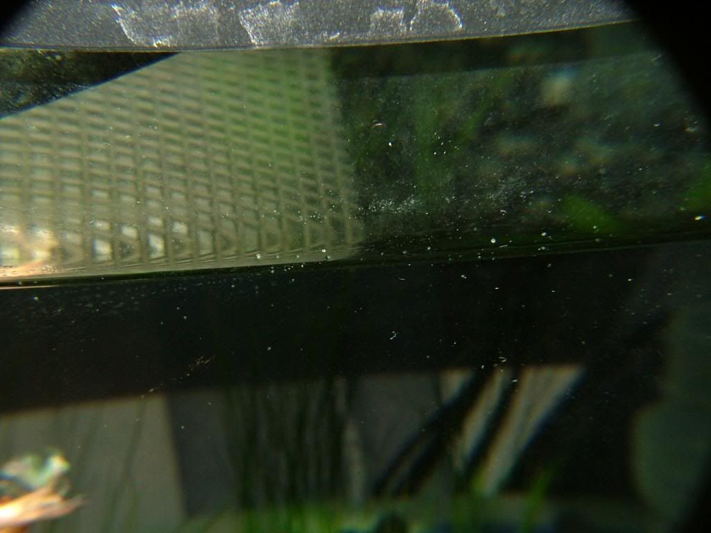 DSCF1472.jpg