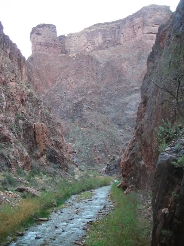 DSCN1716.jpg