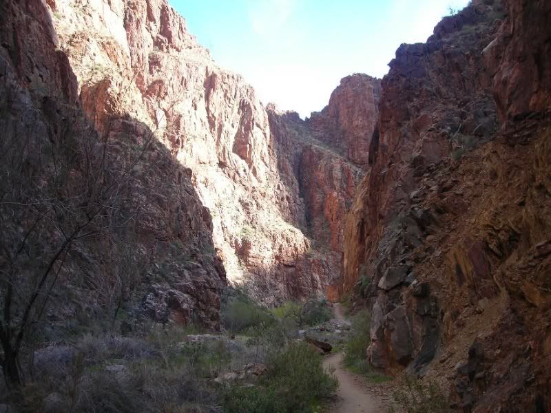DSCN1726.jpg