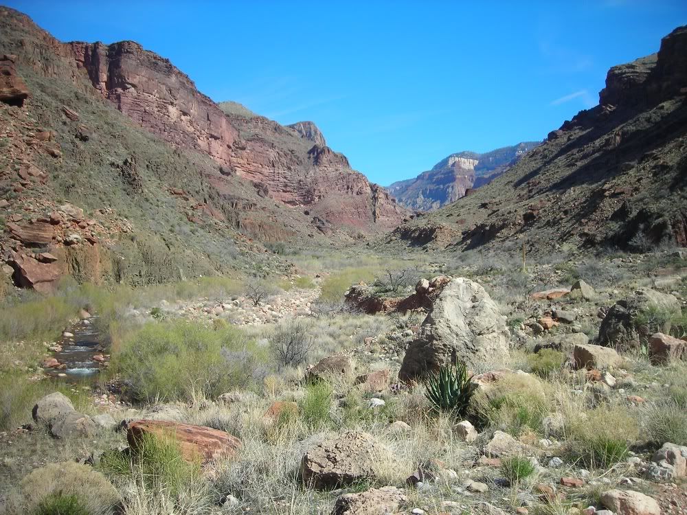 DSCN1750.jpg