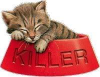 Killer cat photo: Winking Cat winkingcat.jpg