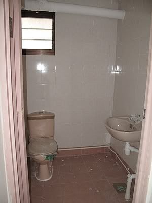 View-2-of-Master-Toilet.jpg