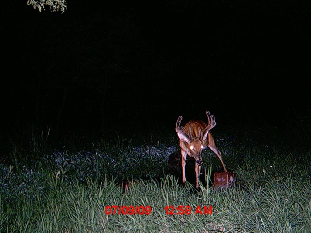 MDGC0111.jpg
