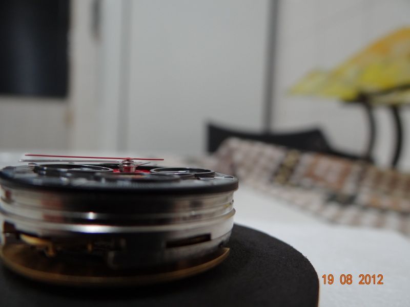 DSC00874.jpg