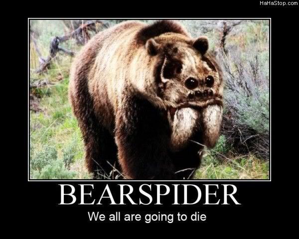 The_Bear_Spider.jpg