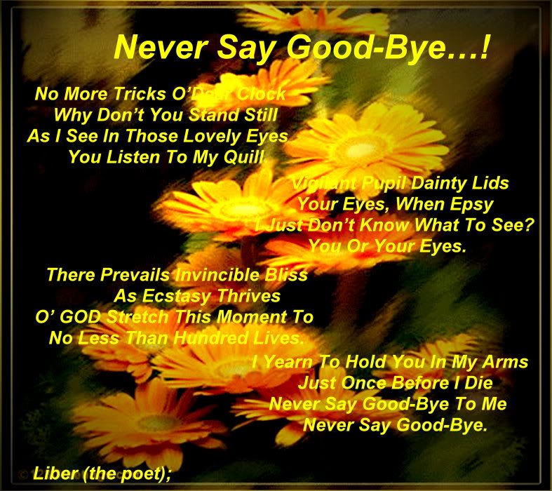 never say good bye