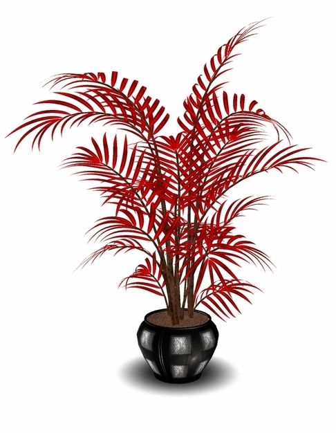 Red Plant photo A.H. Red plant_zps3qljzfow.jpg
