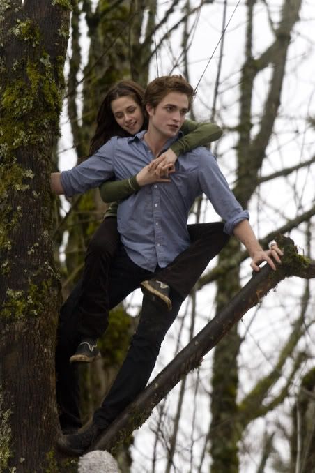 Twilight-462-large.jpg my spidermonky edward and bella image by wellenwolke