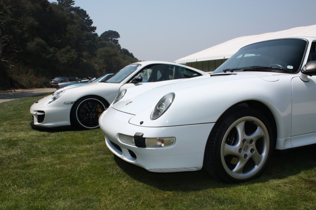 IMAGE: http://i625.photobucket.com/albums/tt339/PJflikz/IMG_8439.jpg