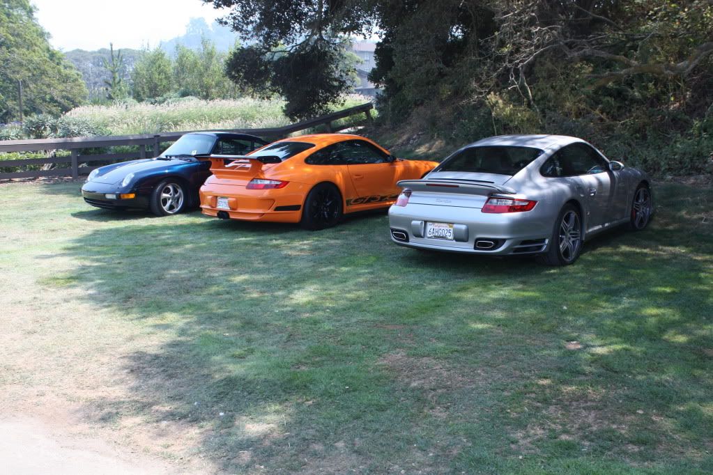 IMAGE: http://i625.photobucket.com/albums/tt339/PJflikz/IMG_8451.jpg