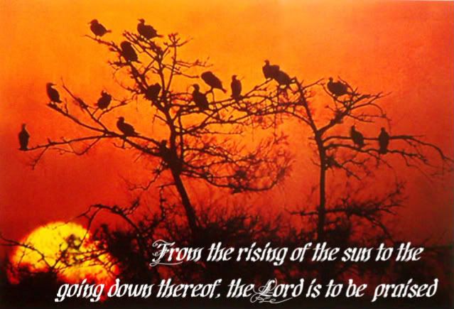 scripture,sunset