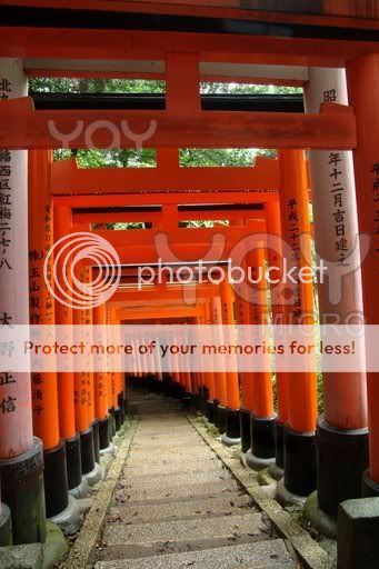 japanese-torii--shinto-gates--33c45e